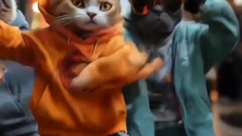 Cat dance tranding video
