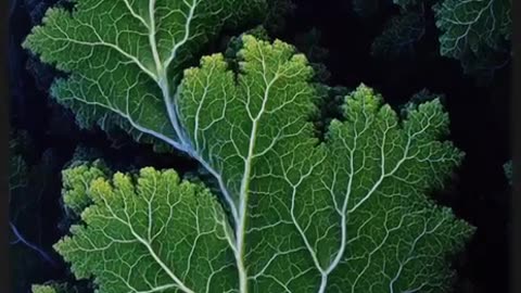 Nature is random
