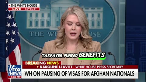 HOLY CRAP: Karoline Leavitt Says Minnesota Fraud Ring Stole Nearly $1 BILLION Under Tim Walz