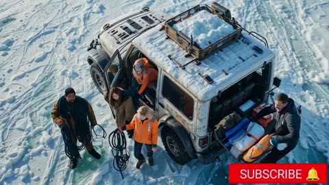 A Rescue Team Saves a Polar Bear Infested With a giant weta \ Polar Bear Rescue A Rescue Team Saves