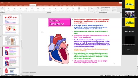 VONEX SEMIANUAL 2025 | Semana 10 | Anatomía