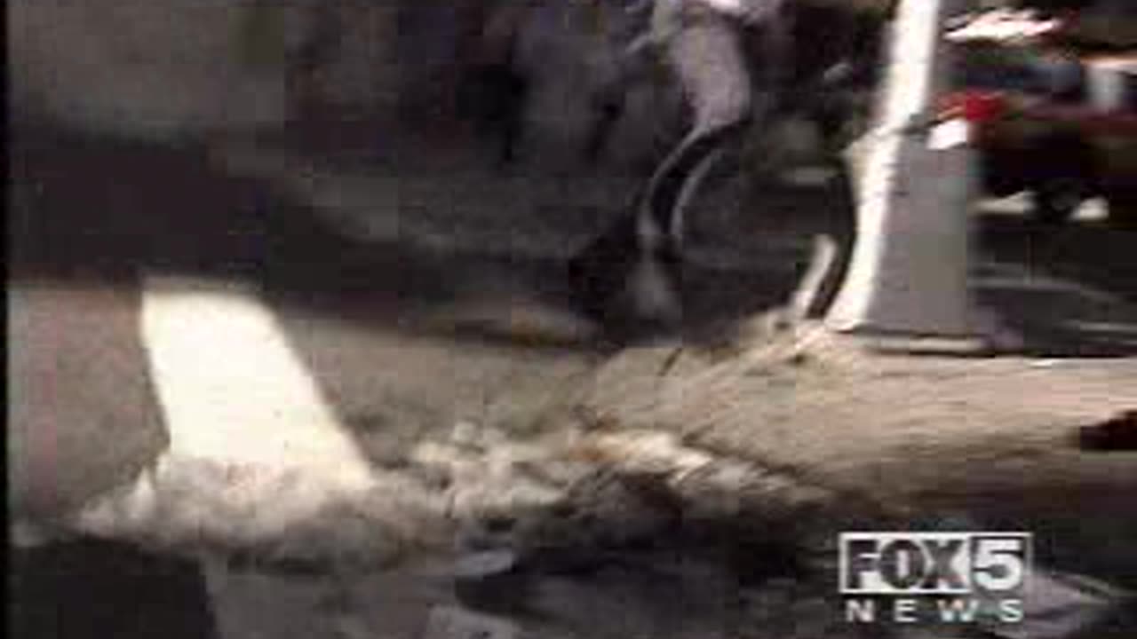 Ground level close up WTC 2 dust