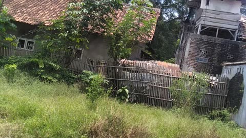 I They Video This In Front Of My House