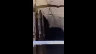 🇧🇾🇵🇱 Ponad 180 nielegalnych imigrantów przedostało się do Polski z Białorusi