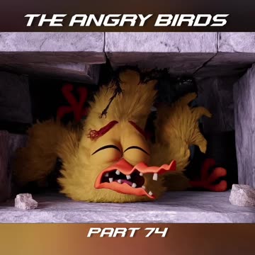 Angry birds 😷😠