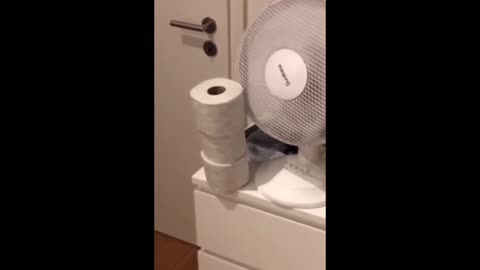 Very funny random memes