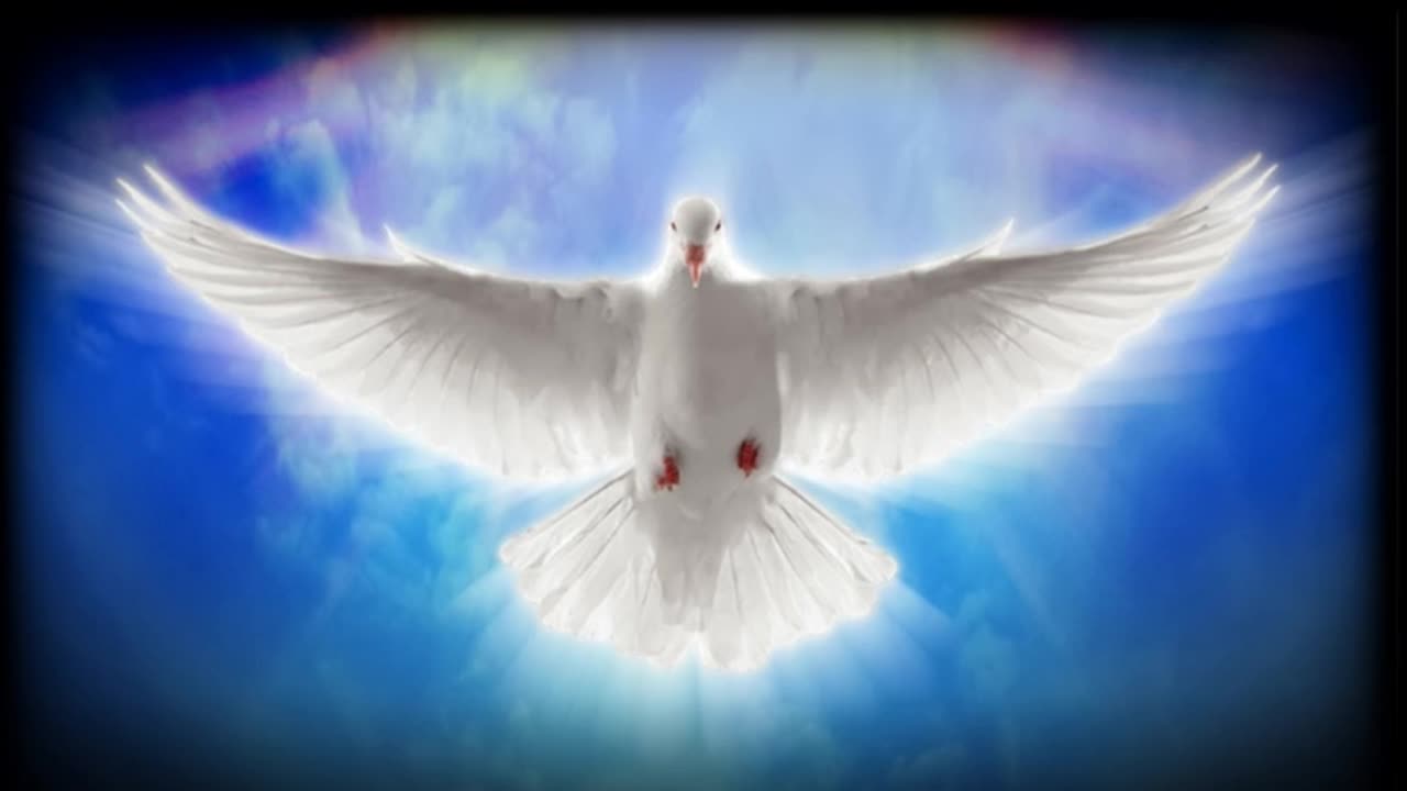In the Presence of the Holy Spirit