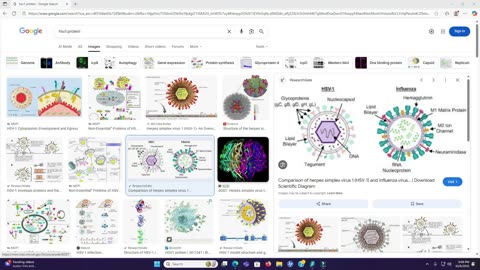 HSV1 Viral Protein Can be Detoxed out of the Body (Herpes protein Verses Influenza)