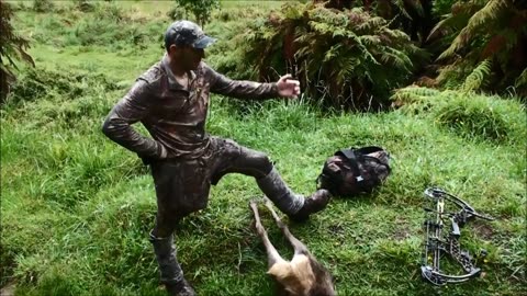 Hunting for the elusive Rusa deer