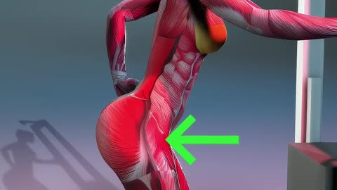Want Perfect Cable Kickbacks? 💥 Let’s Get Those Upper Glutes! | Home Exercises for Women