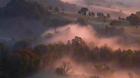 Oración Inspirada en las Lecturas de Hoy 01/23/26