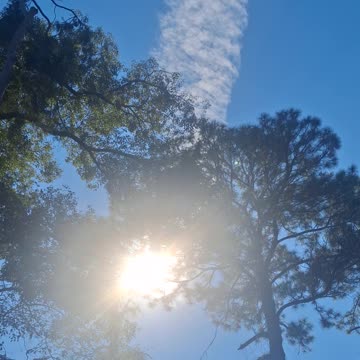 ☠️SKY COKE☠️