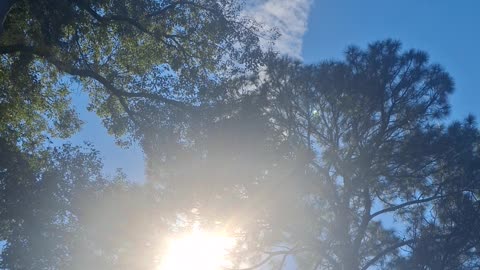 ☠️SKY COKE☠️