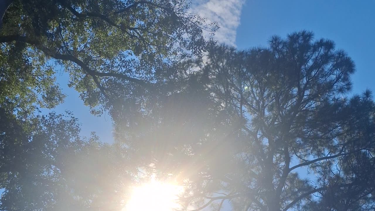 ☠️SKY COKE☠️