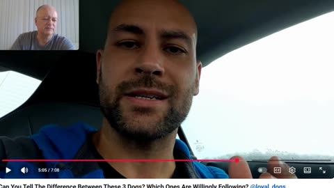 Christmas Bonus Series - The Anti Dog Trainer Off Leash Breakdown - Pt 5