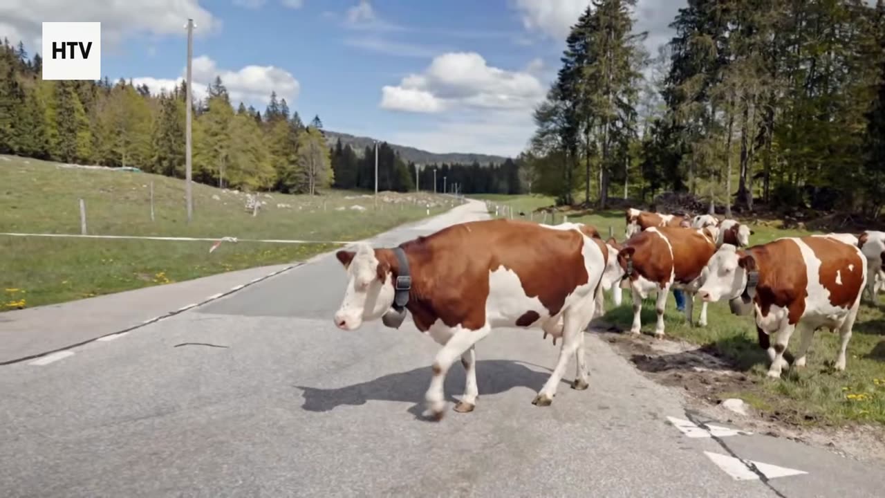 Journey Into Earth’s Most Mysterious Places