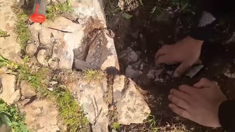 5 Treasure Discoveries FOUND BY ACCIDENT With a Metal Detector!