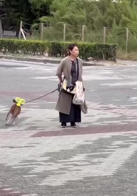 Lots of energy to burn 😊