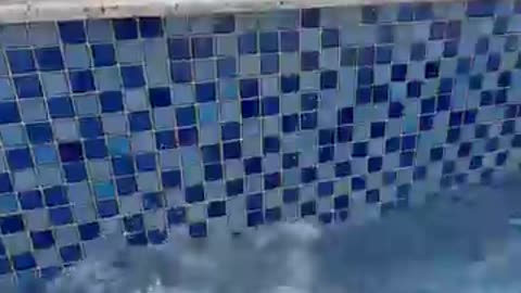 Funny Guy Video-8