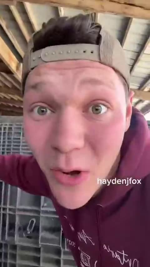 “Farmers can be and will be sued if they plant their own seeds” in America ‌