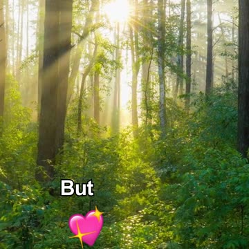 Stop Searching, Start Listening Free Meditations #guidedmeditation #meditationcoach #mindfulness