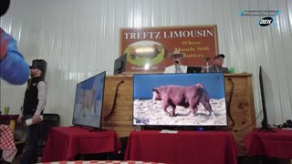 Trent Loos in the Morning - 2/17/2026