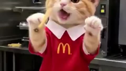 Mcdonalds🤡 Cat🐈🎈🤣😆😜😎