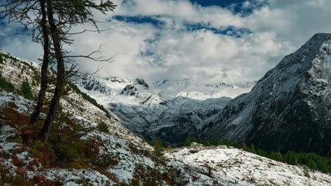 God's Touch - Blood Poisoning (Jeff Osburn)