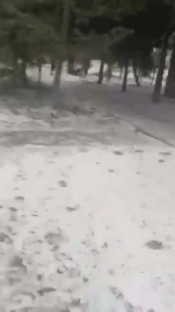 Ukraine war combat/related footage 12/30/25