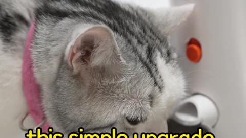 Keep Pets Hydrated with the Intelligent Pet Water Dispenser