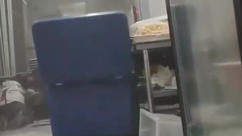 MOMENT Philippines earthquake strikes