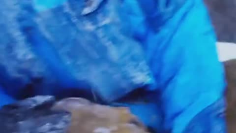 Make daisy come Nigeria 😭