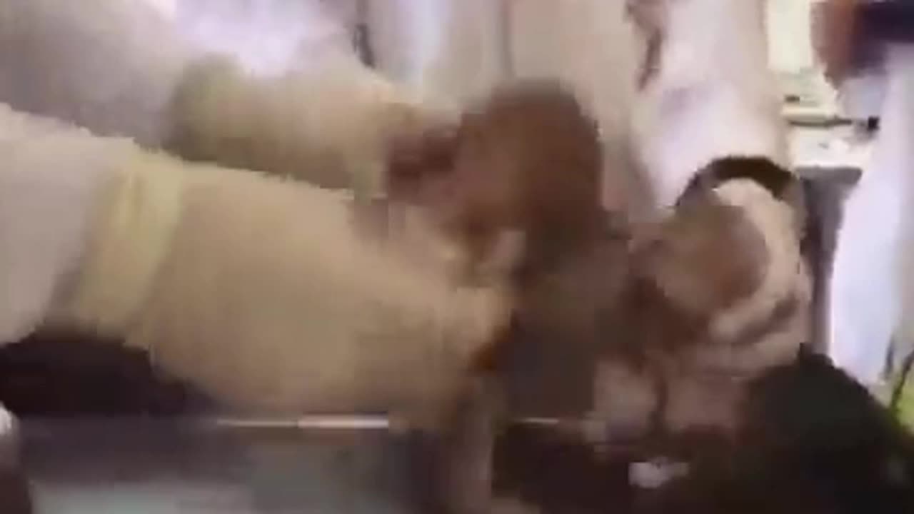 Abortionists - Evil Has No Limits