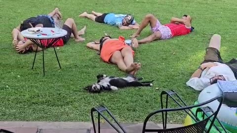 Dog Enjoys Siesta With Owners