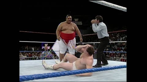 WWF Superstars January 2, 1993