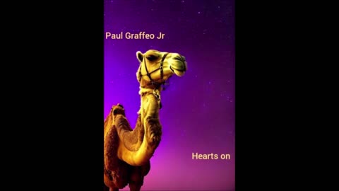 PAUL GRAFFEO JR - HEARTS ON