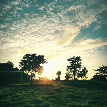 Beautiful playground nature view