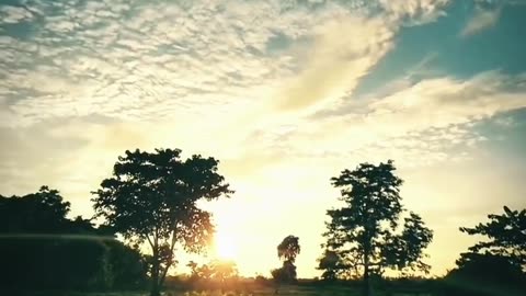 Beautiful playground nature view