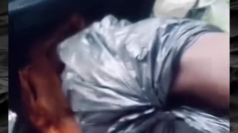 😱👻 You Won't Believe What They Caught on Camera! Creepy Paranormal Vidéos | TheHauntingHour