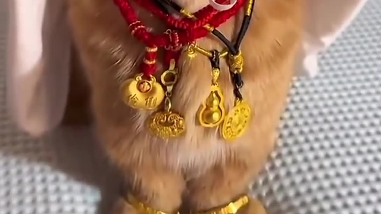 oyen🤣🤣