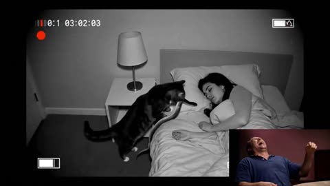 Man’s Reaction to the video: Cat Brings Food to Owner as a Thank You