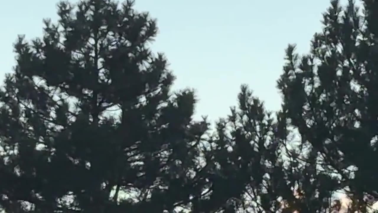 🤯🛸 Unbelievable Sight Over Boulder, CO! What Could This Be?! | TheTruthAbove