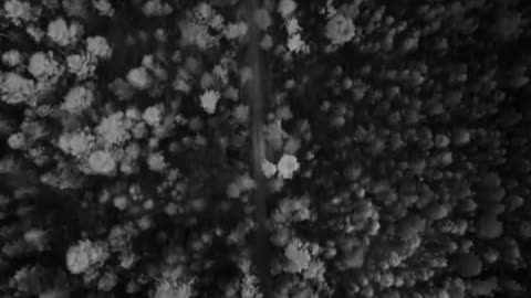 Feel The Song.💕 #thissong #music #grsong #viralsong #grsong5050 #feelthemusic #feelthesong #viral