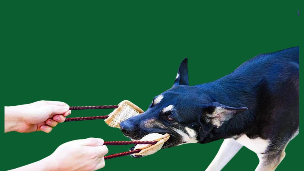 Churro para mordidada