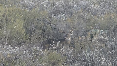 JH Ranch 25-26 Trip #2