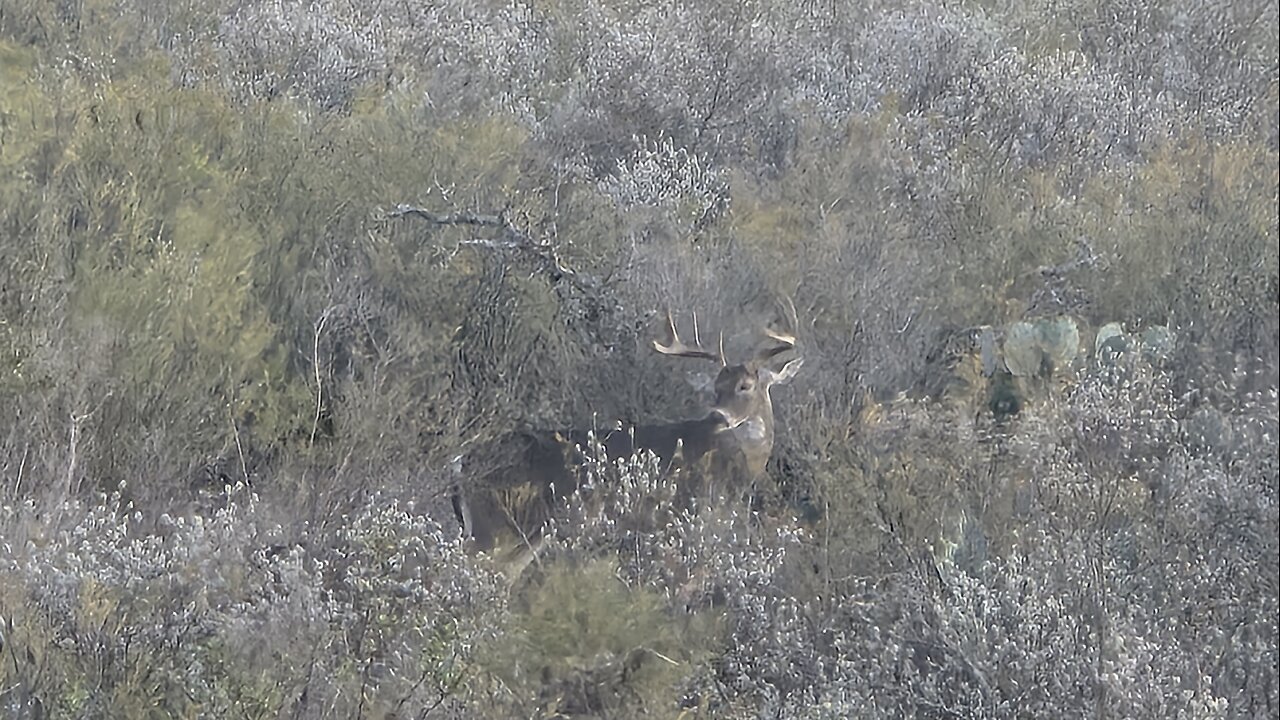 JH Ranch 25-26 Trip #2