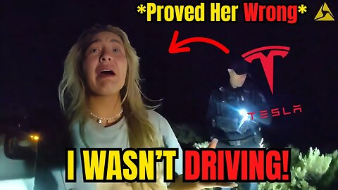 Tesla Driver Throws Tantrum When Her Lies Fall Apart