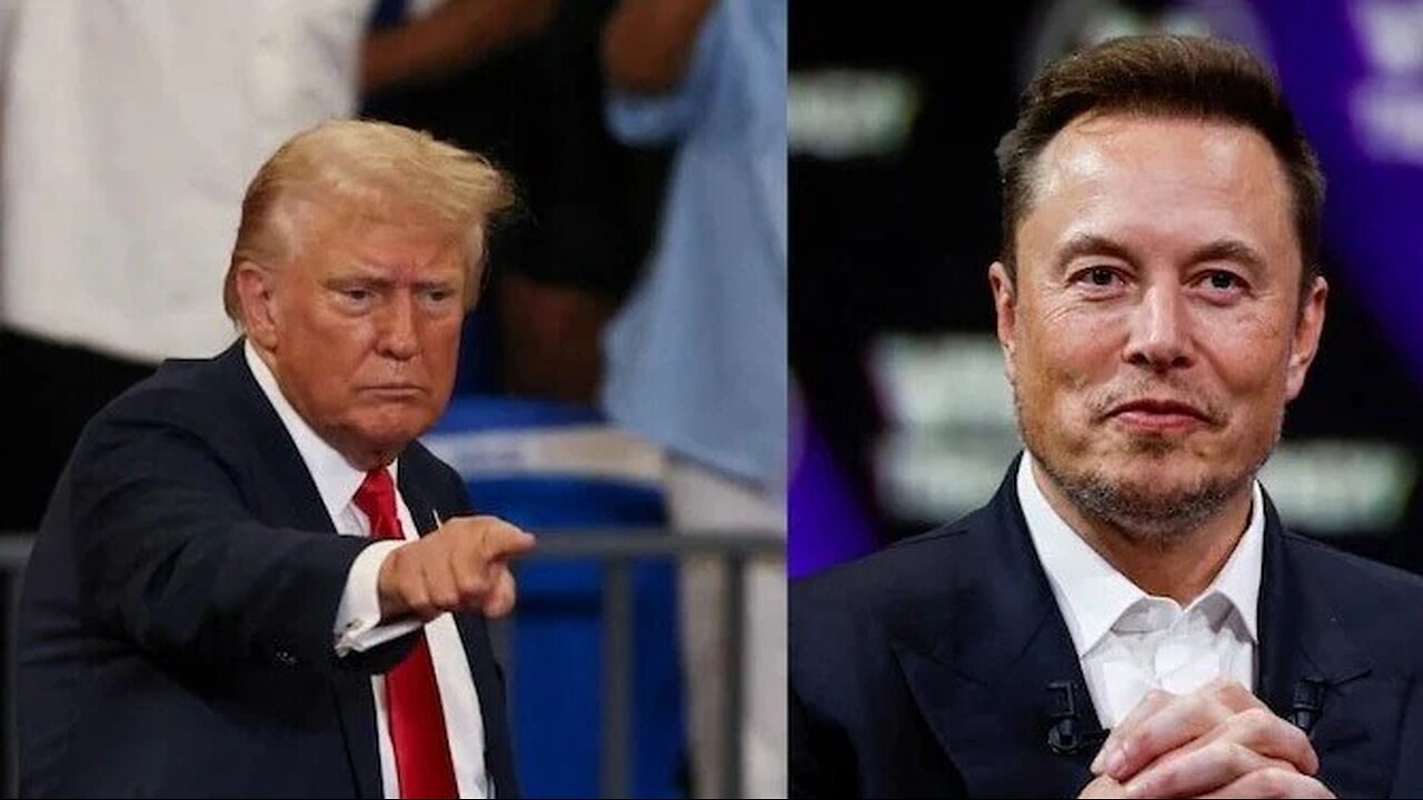 White South African Responds to @realDonaldTrump and @elonmusk's Misinformation About South Africa