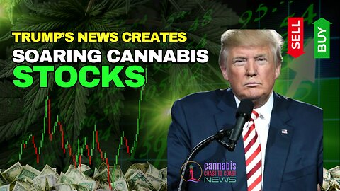 Trump's Video Post Sends Stocks Soaring! Michigan State House Protest over 24% Tax increase