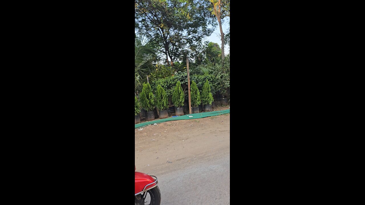 HAPPY TUESDAY EVERYONE 😊